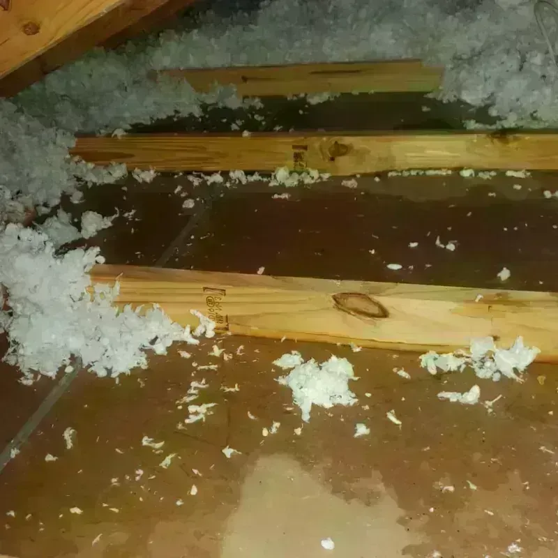 Attic Water Damage in Venetian Village, IL